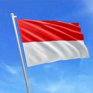 Indonesian Language Course with Native Speaker